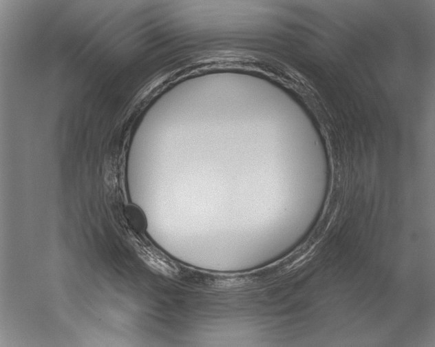 X0000060221017200510280906