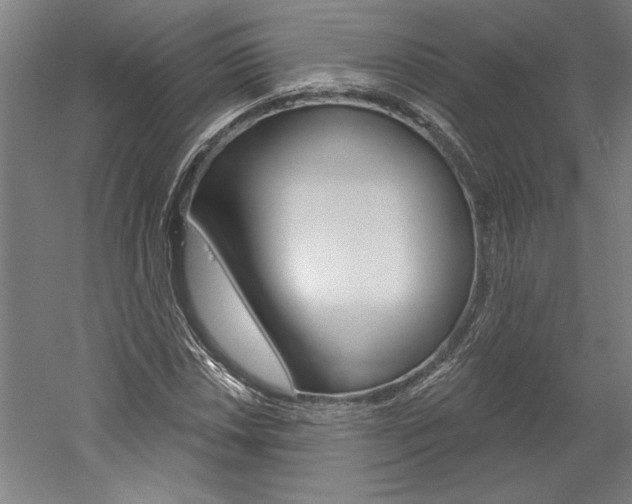 X0000060221018200510280906