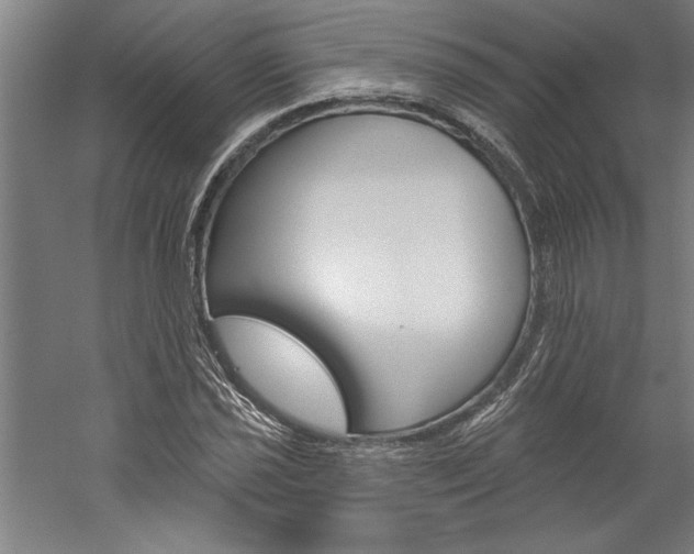X0000060221021200510280906