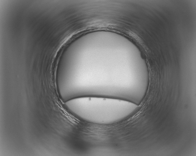 X0000060221023200510280906