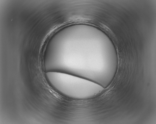 X0000060221027200510280906