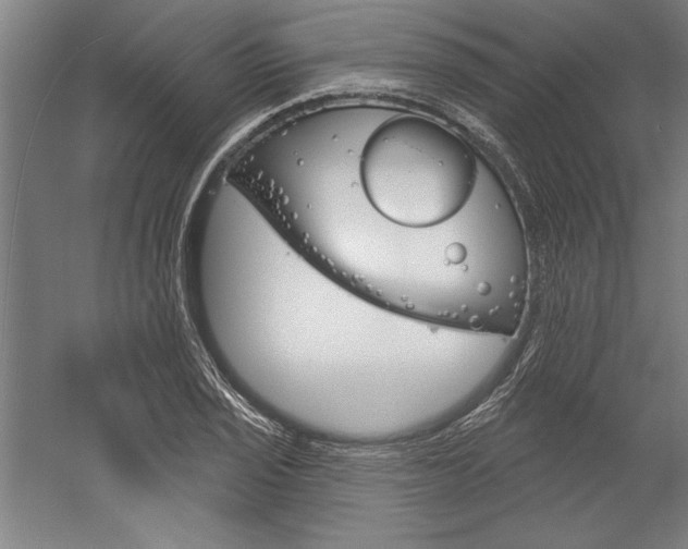 X0000060221029200510280906