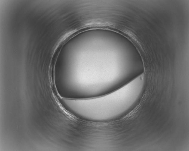 X0000060221030200510280906