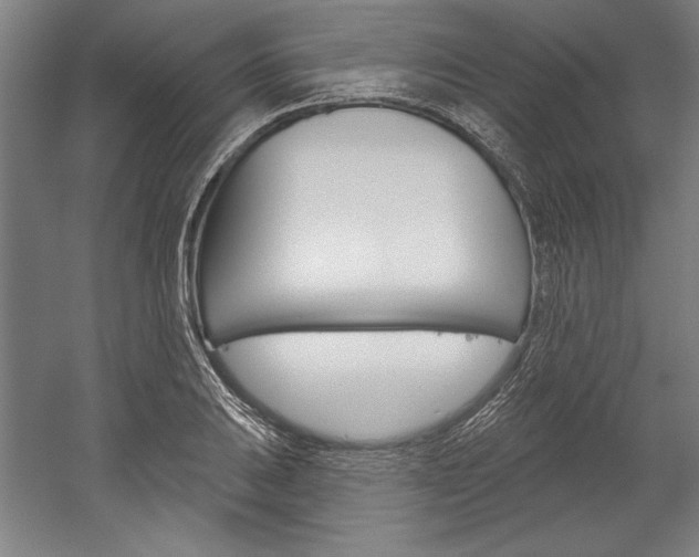 X0000060221031200510280906