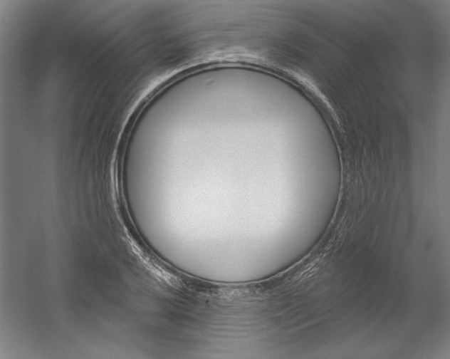 X0000060221032200510280906