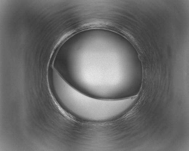 X0000060221034200510280906