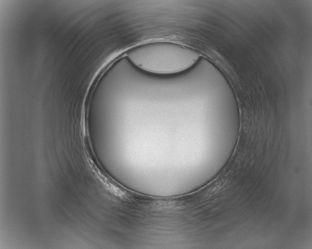 X0000060221036200510280906