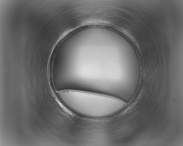 X0000060221037200510280906