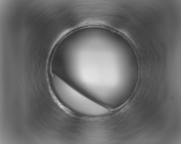 X0000060221038200510280906