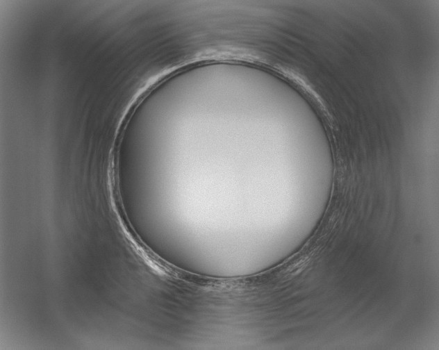 X0000060221040200510280906