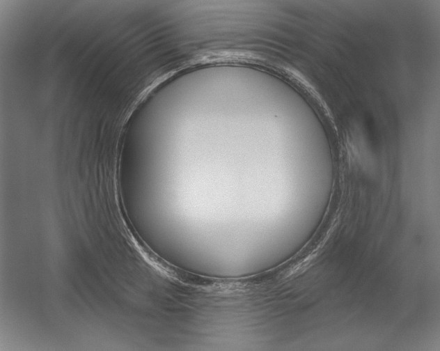 X0000060221041200510280906