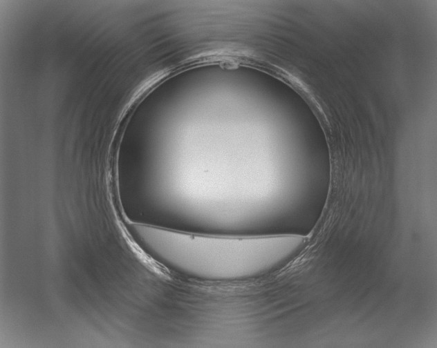 X0000060221042200510280906
