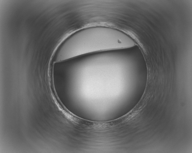 X0000060221046200510280906