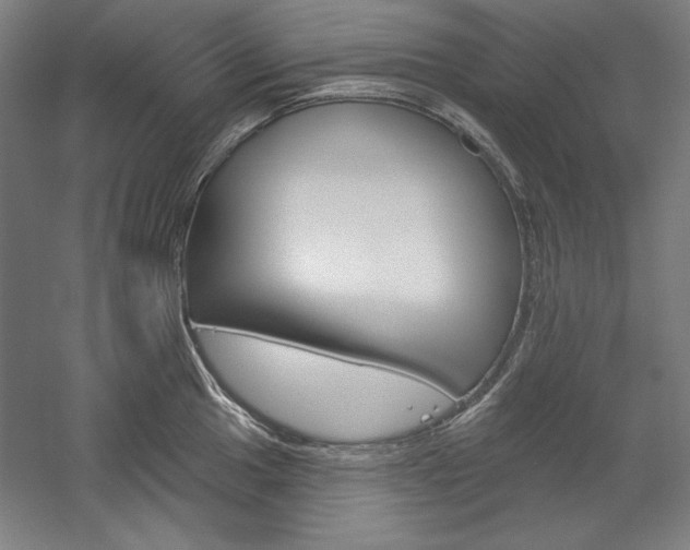 X0000060221049200510280906