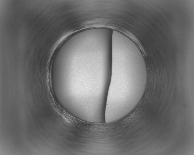 X0000060221051200510280906