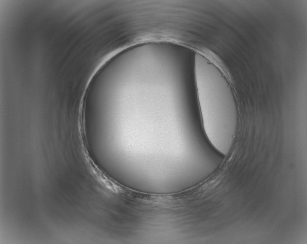 X0000060221052200510280906