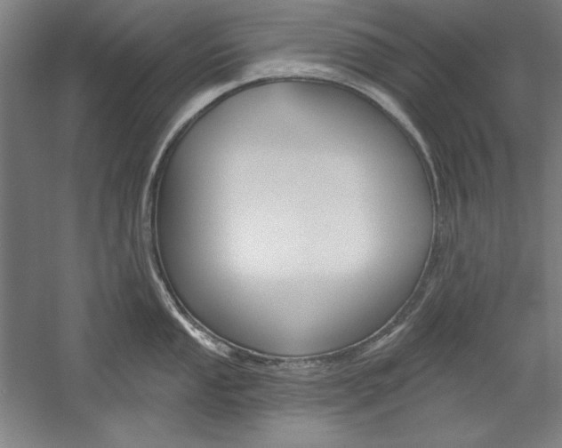 X0000060221053200510280906