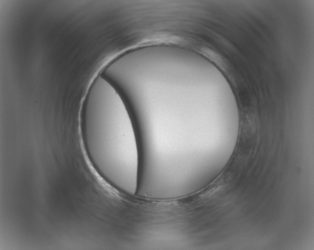 X0000060221055200510280906
