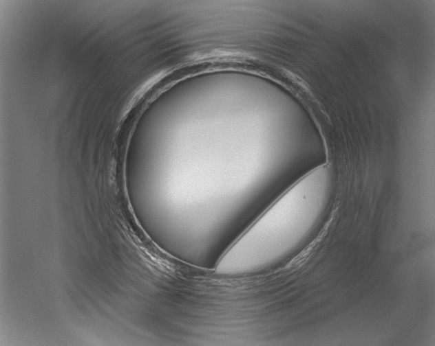 X0000060221066200510280905