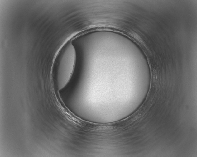X0000060221068200510280905