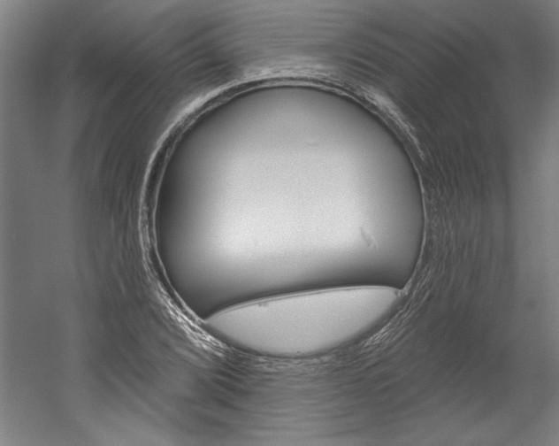 X0000060221072200510280905