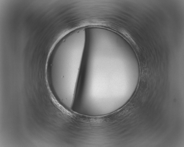 X0000060221080200510280905