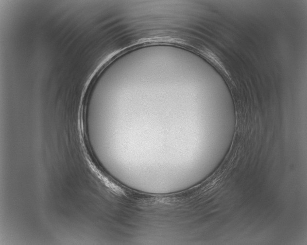 X0000060221084200510280905