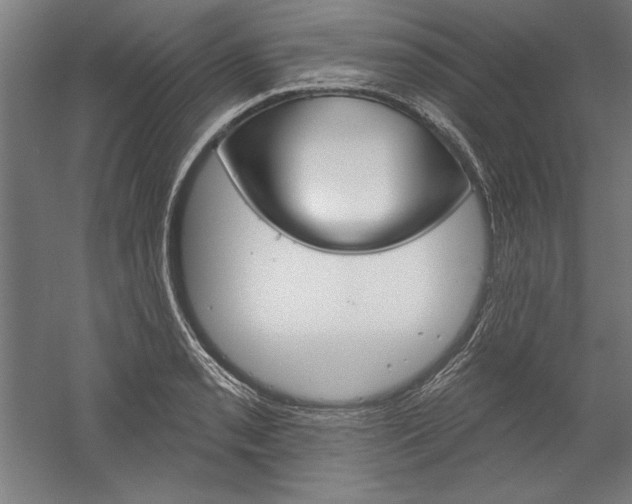 X0000060221085200510280905