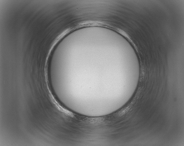 X0000060221090200510280905