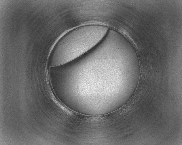 X0000060221092200510280905