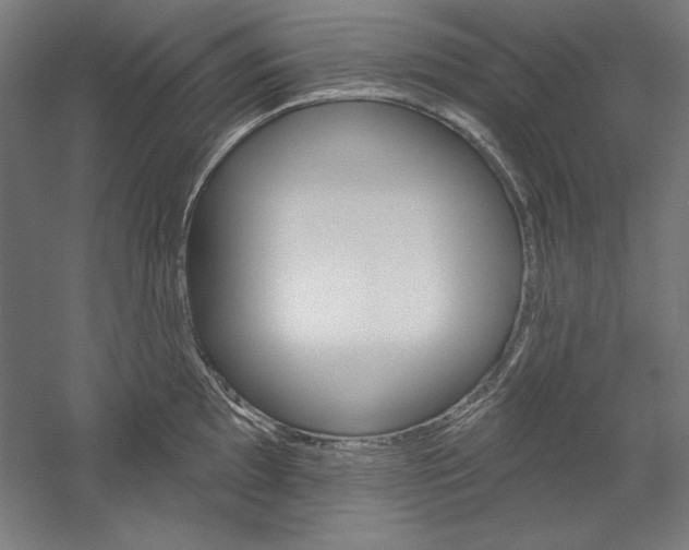 X0000060221097200510280905