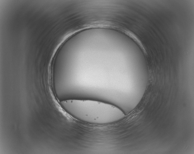 X0000060221099200510280905