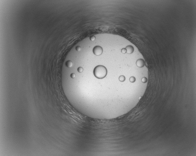 X0000060221105200510280904