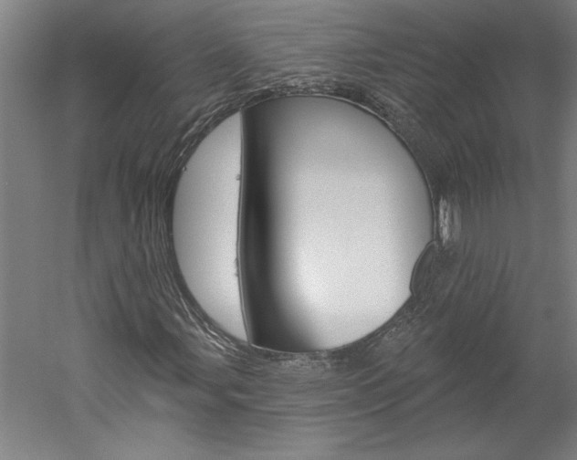 X0000060221107200510280904