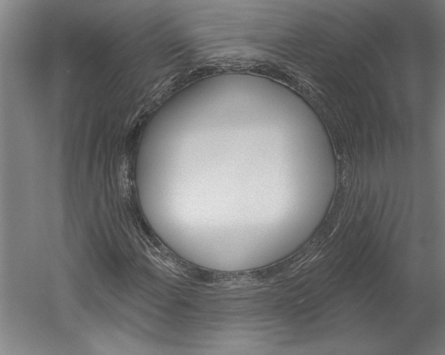 X0000060221108200510280904