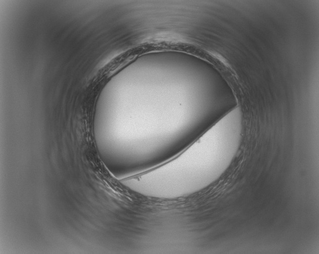 X0000060221112200510280904