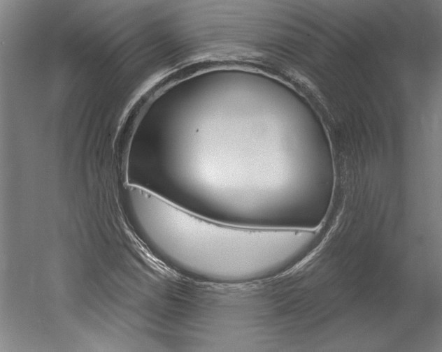 X0000060221114200510280904