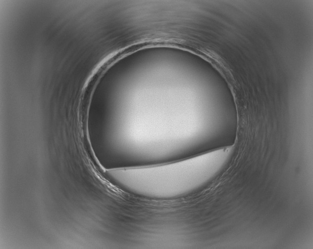 X0000060221120200510280904