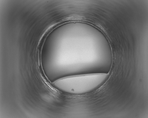 X0000060221123200510280904