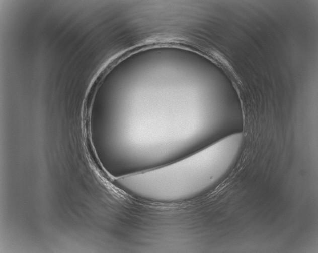 X0000060221124200510280904