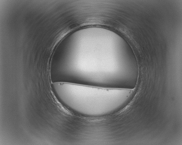X0000060221129200510280904