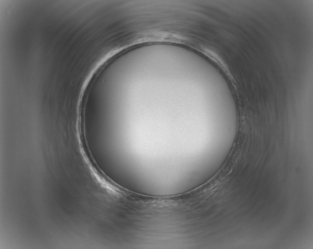 X0000060221136200510280904