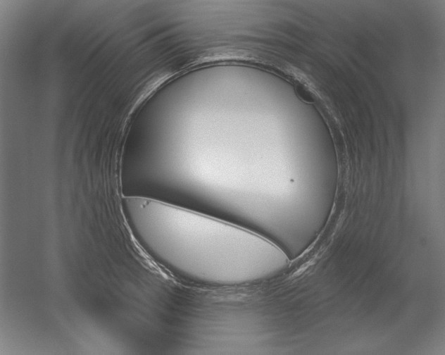 X0000060221137200510280904