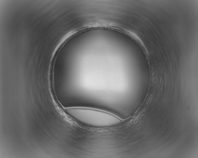 X0000060221138200510280904