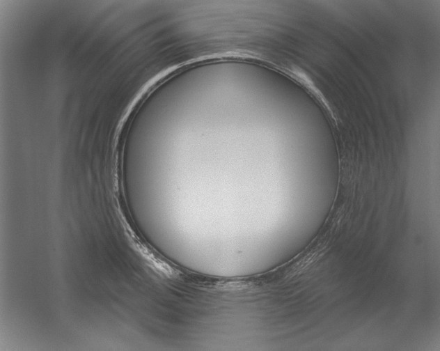 X0000060221140200510280905