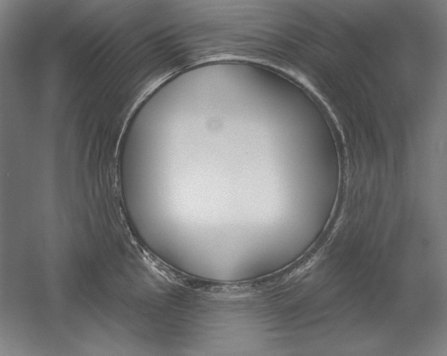 X0000060221145200510280905