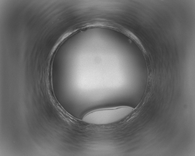 X0000060221146200510280905