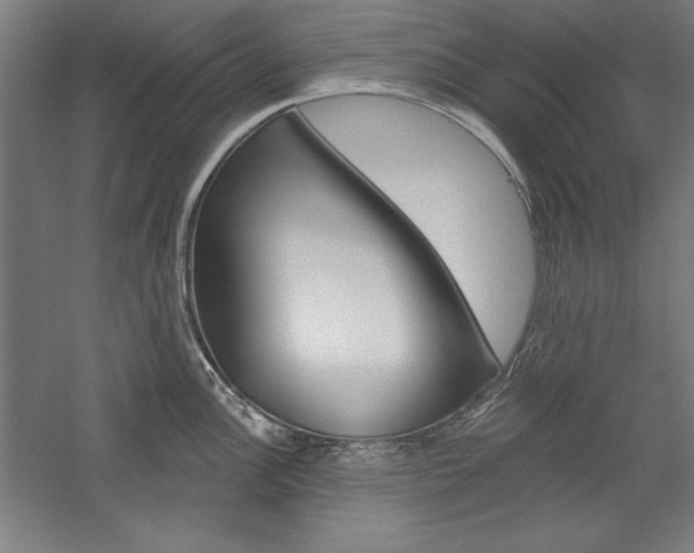 X0000060221148200510280905