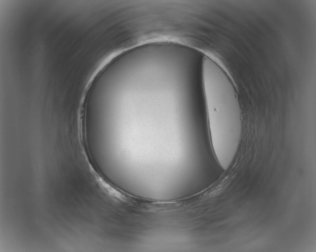 X0000060221151200510280905