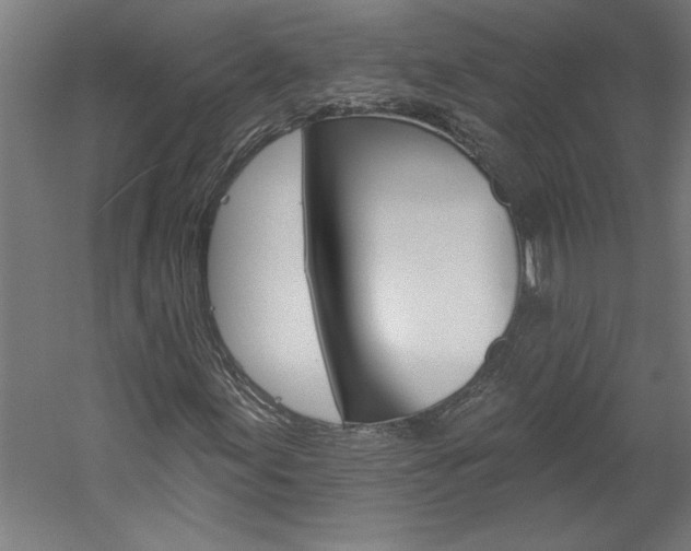 X0000060221155200510280904